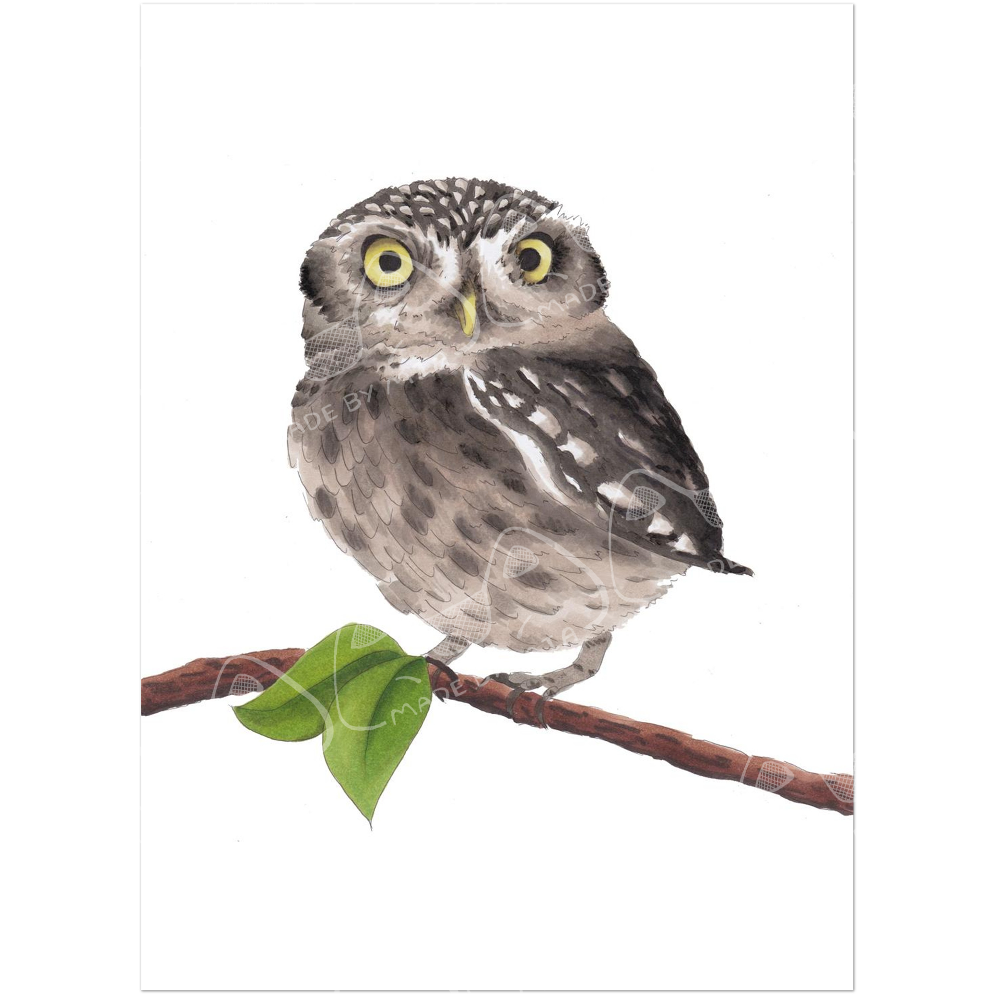 Little Owl Art Print
