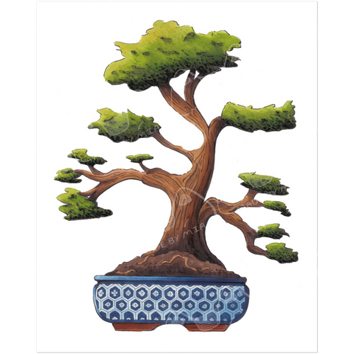 Bonsai Tree Art Print