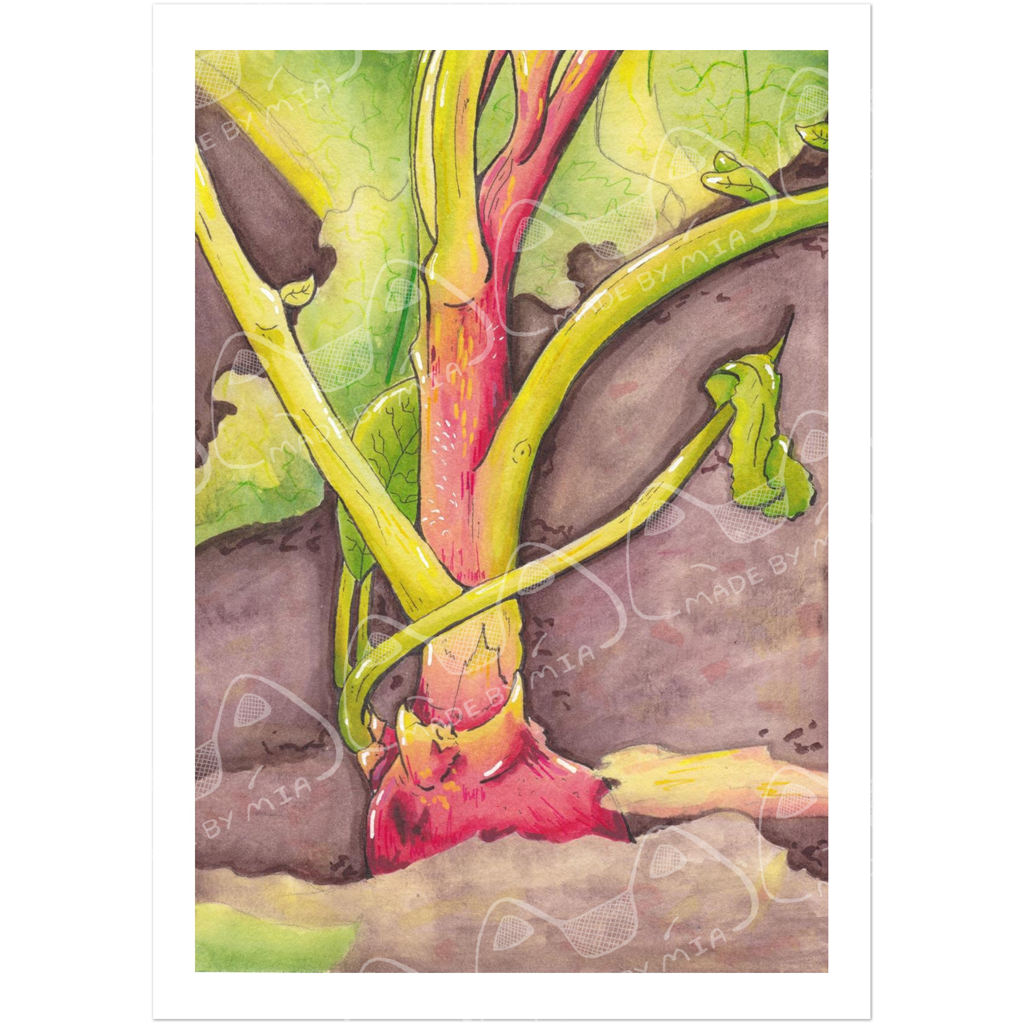 Mixed Media Radish Art Print