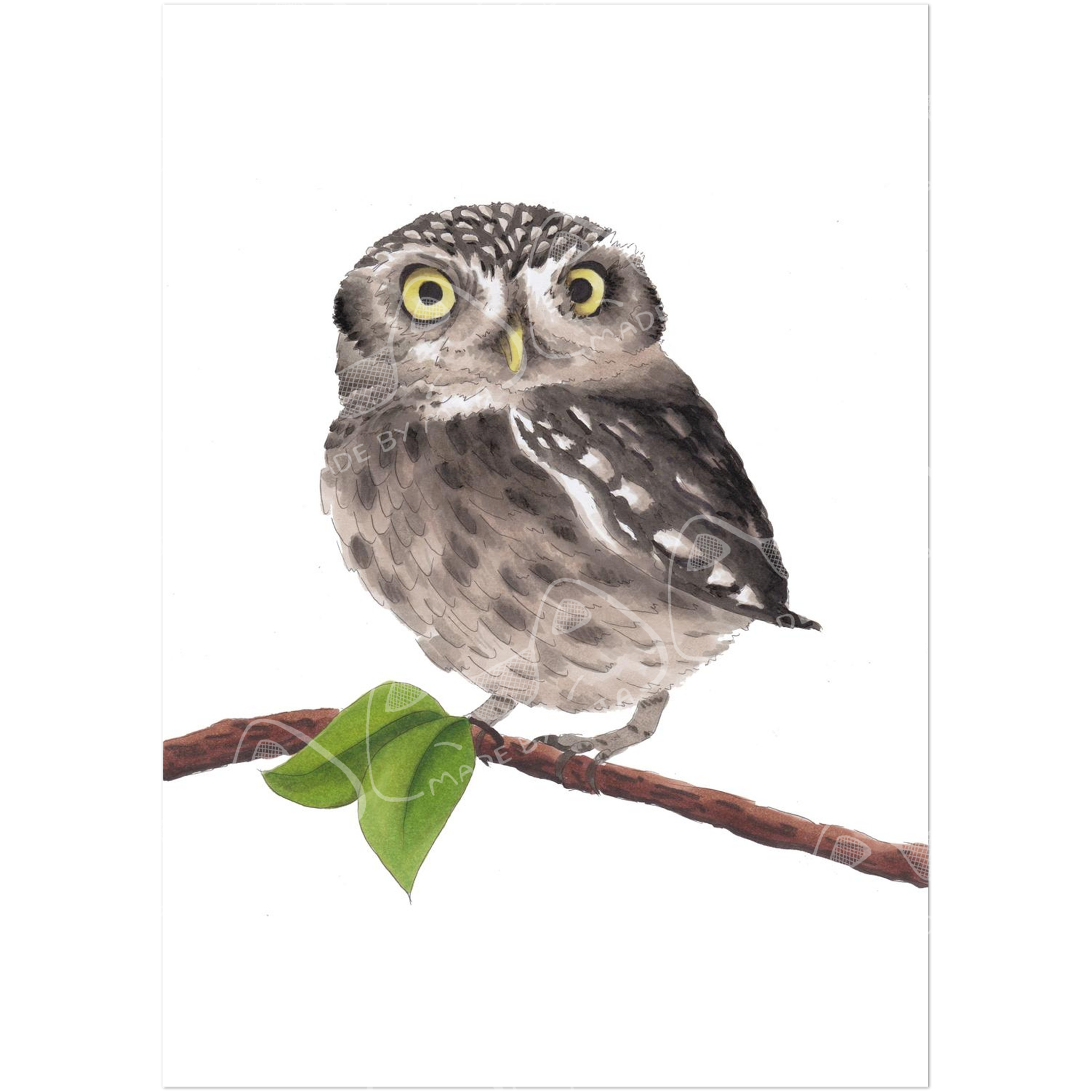 Little Owl Art Print